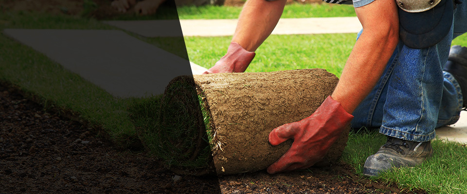 Quarryville Landscapers